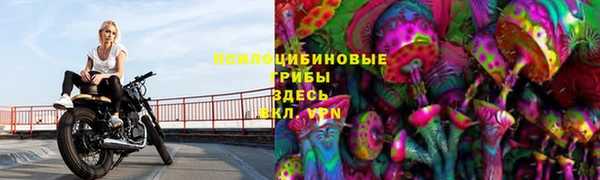 соль ск Алексеевка