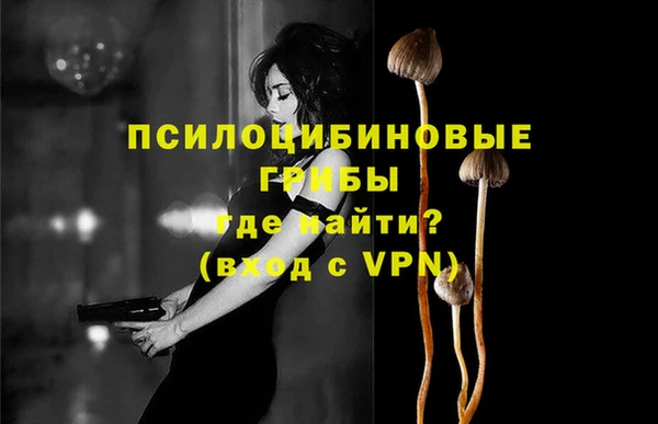 соль ск Алексеевка