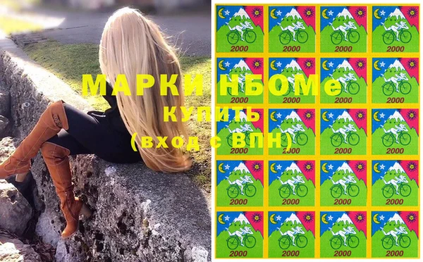 spice Алзамай