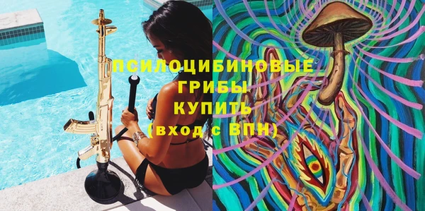 spice Алзамай